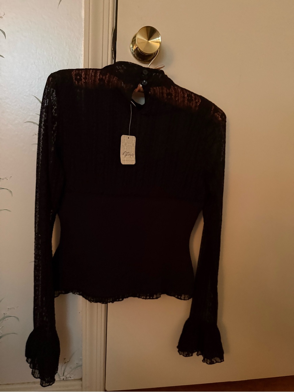 We The Free Black Sheer Lace Long-Sleeve Blouse with Ruffled Cuffs